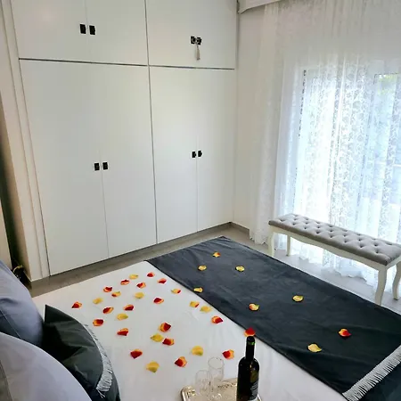 Center Luxury Spacious A&m Ii *