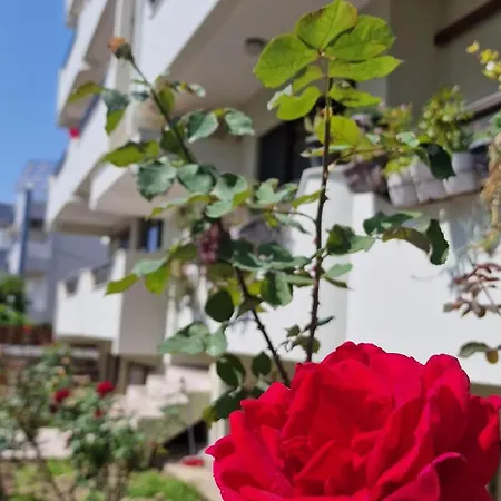 Center Luxury Spacious A&m Ii Rhodes City